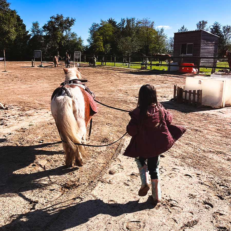 Cours d'équitation à Saint-Georges-sur-Loire